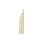 CANNA IN BAMBOO D.22-24 H.150
