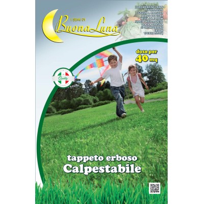 SEMI PRATO CALPESTABILE 1 KG