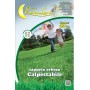 SEMI PRATO CALPESTABILE 1 KG