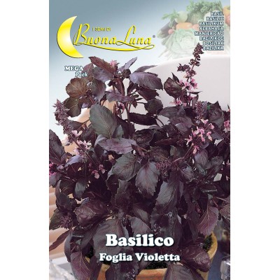 SEMI ORTO BASILICO FOGLIA VIOLETTA
