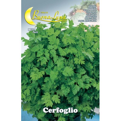SEMI ORTO CERFOGLIO