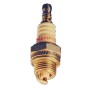 PL CANDELA P/DECESPUGLIATORE