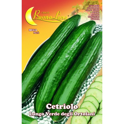 SEMI ORTO CETRIOLO VERDE