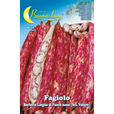 SEMI ORTO FAGIOLI NANI BORLOTTI