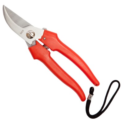 FORBICI P/UVA FALCI INOX 19 CM