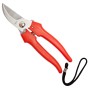 FORBICI P/UVA FALCI INOX 19 CM