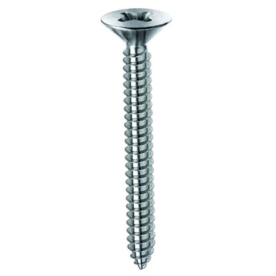 VITE AUTOFILETTANTE TSP 5,5X25MM ZINCATA