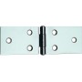 CERNIERA PERNO FISSO  122 IN INOX 3.1/4 31X80 MM
