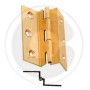 CERNIERA FRESATA C/COLLO OTTONE SAT 60X50 MM**