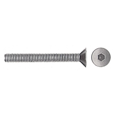 VITI P/BUSSOLA T.S.P. ESAG INCAS  8MA BRUN 60 MM