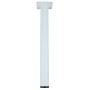 PIEDE P/TAVOLO ACCIAIO D. 30 X H 800 MM BIANCO