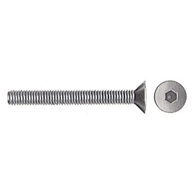VITI P/BUSSOLA T.S.P. ESAG INCAS  8MA BRUN 30 MM