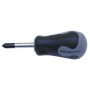 CACCIAVITE POZIDRIV 109 TEKNA D 6,0X 38 MM PZ2