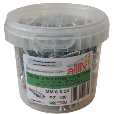 ALLFIX 100 TASSELLI C/VITI F4 6X30 MM*