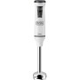 FRULLATORE AD IMMERSIONE 600W C/ACCESSORI