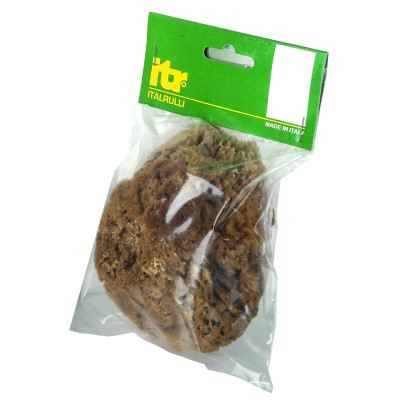 SPUGNA MARINA NATURALE 14 CM P/PITTURE   SM