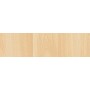 PLASTICA ADESIVA ALKOR 288.2660 OLMO SBIAN 15 M