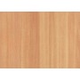PLASTICA ADESIVA ALKOR 280.2608 FAGGIO PIENO 15 M