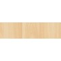 RT PLASTICA ADESIVA 280.2660 OLMO SBIANCATO 2,5 M