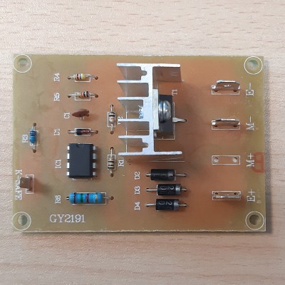 R SCHEDA ELETTRONICA X ELETTROSEGA A BATTERIA 20V 4,0AH GY2191