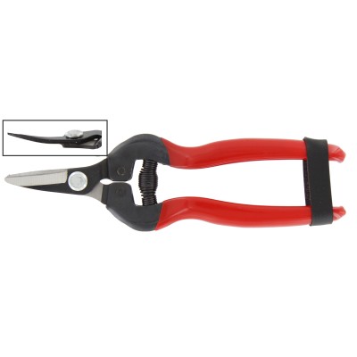 FORBICI P/UVA LAME CURVE PROF