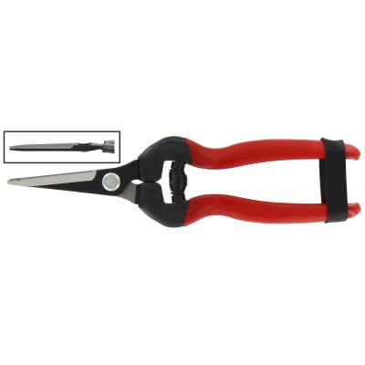 FORBICI P/UVA LAME DRITTE LUNGHE
