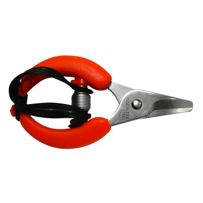 FORBICI P/AGRUMI LAME INOX