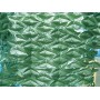 C SIEPE ARTIFICIALE ROTOLO 1 X 3M LAURO LIGHT