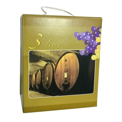 SCATOLA P/SACCA BAG 3 L COLORATO E MANICO
