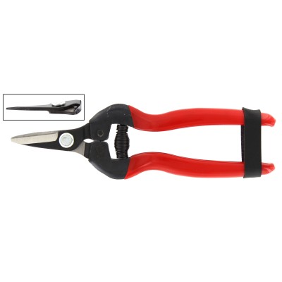 FORBICI P/UVA LAME DRITTE CORTE