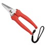 FORBICI P/UVA FALCI INOX 16 CM