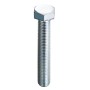 VITE TE INTERO FILETTO 12X 25MM CL.8.8 ZINCATA