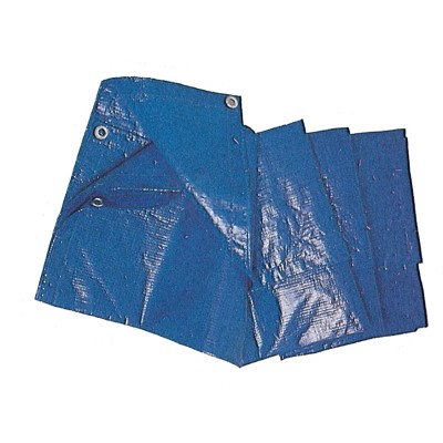 C TELO OCCHIELLATO PE 6 X 8M 85GR BLU