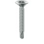 VITE AUTOPERFORANTE TSP 4,8X 19MM ZN BIAN DRILLEX
