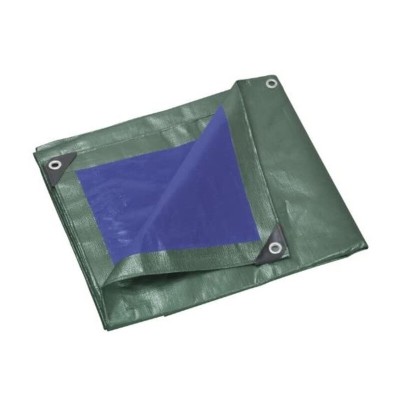 C TELO OCCHIELLATO PE VERDE/BLU  3X 5M 110GR