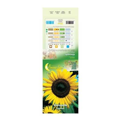 SEMI GARDEN GIRASOLE GIGANTE