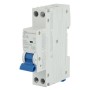 INTERRUTTORE MAGNETOTERMICO 10A 6KA 1P+N 4,5KA